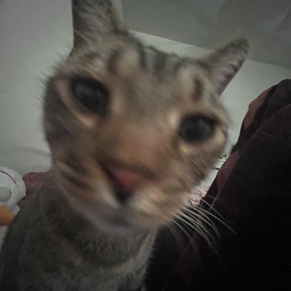 Meet your Posher, Jasmine